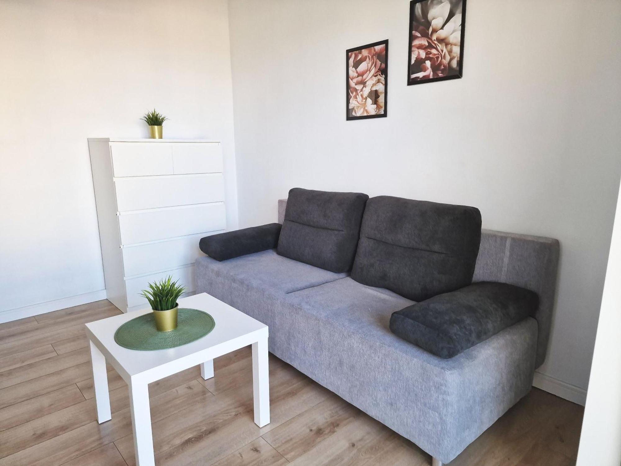 Urban Jungle - Silver Apartment Bialystok Exterior photo